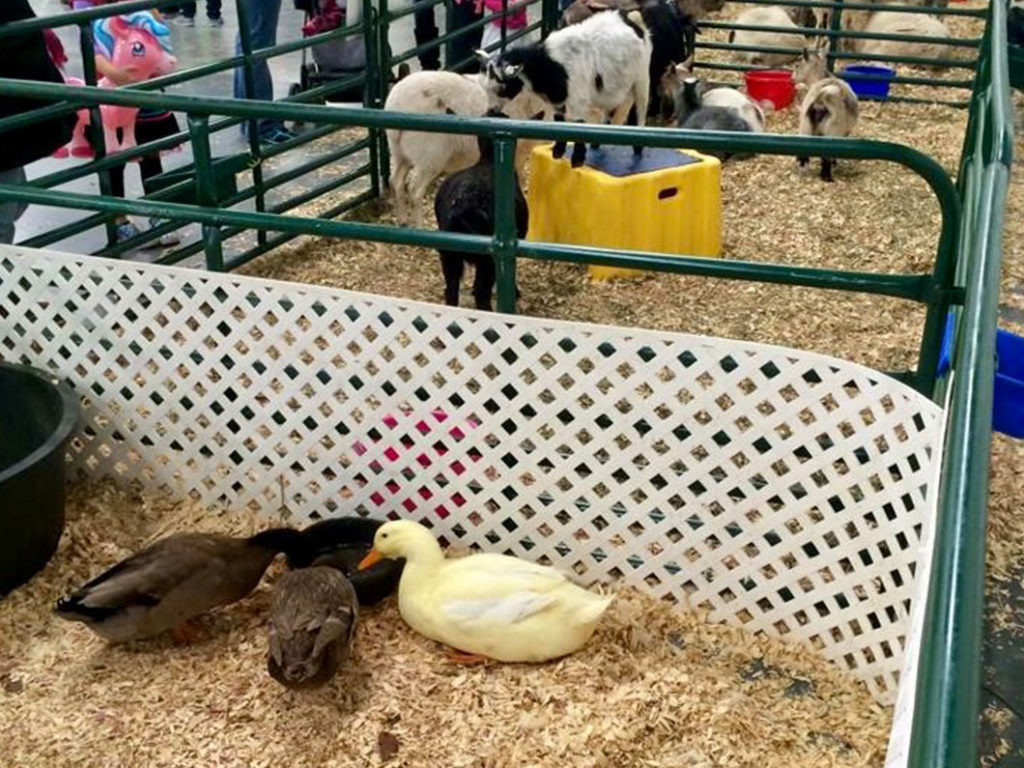 Mobile petting zoo equestrian enterprises
